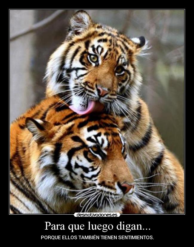 Para que luego digan... - 