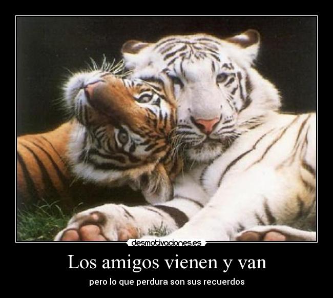 Los amigos vienen y van - pero lo que perdura son sus recuerdos