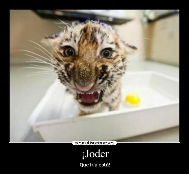 ¡Joder - 