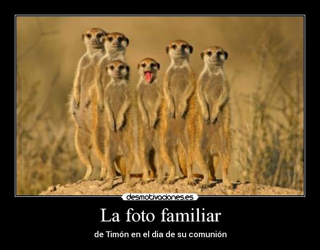 La foto familiar - de Timón en el dia de su comunión