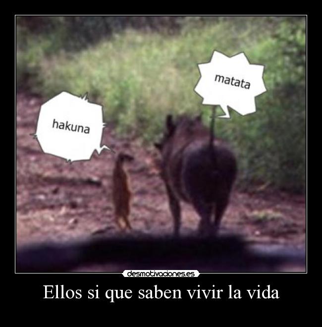 Ellos si que saben vivir la vida -