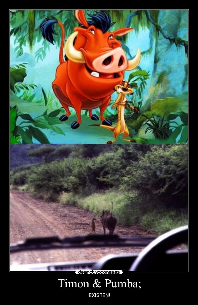 Timon & Pumba; - EXISTEN!