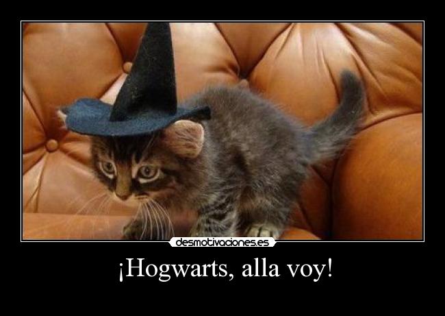 ¡Hogwarts, alla voy! - 