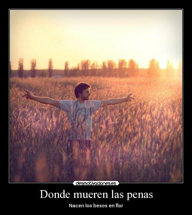 Donde mueren las penas - 