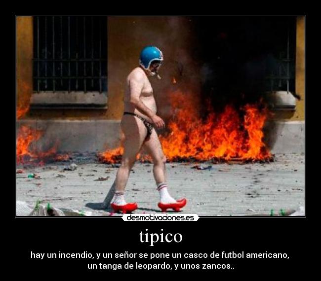 tipico - 