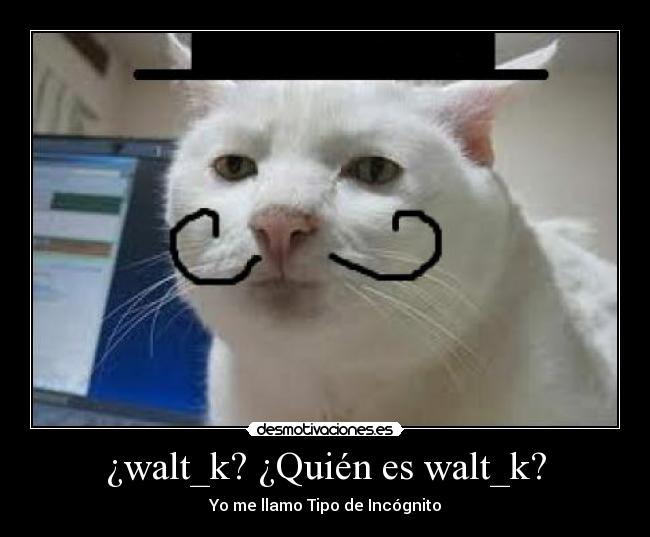 ¿walt_k? ¿Quién es walt_k? - 