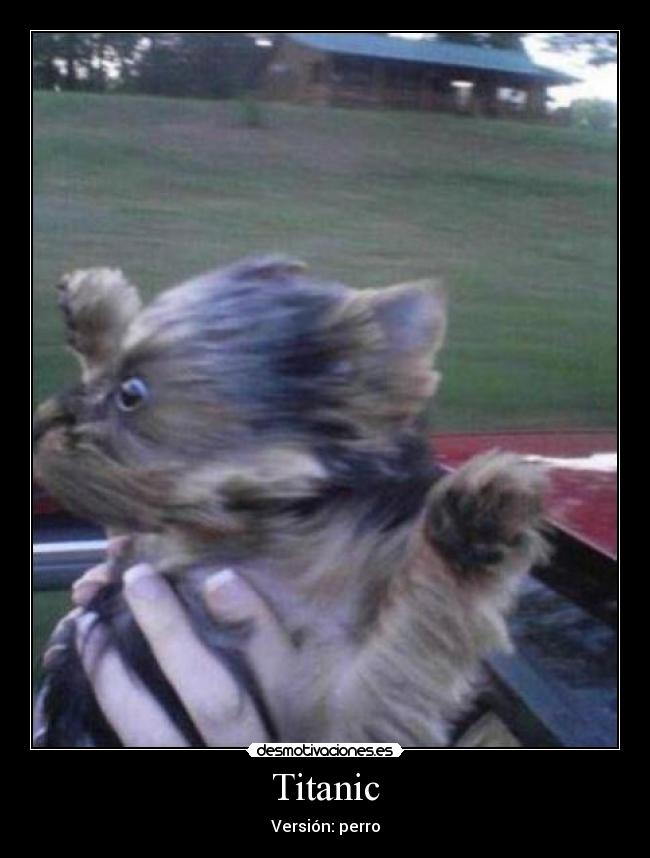 Titanic - Versión: perro