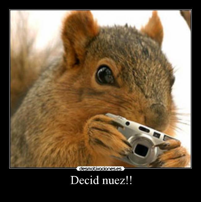 Decid nuez!! - 