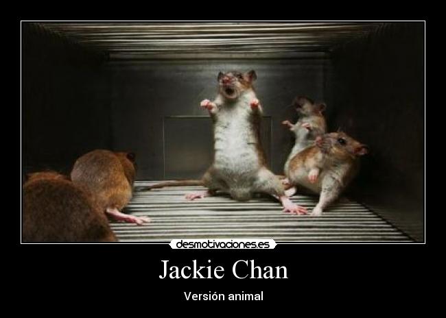 Jackie Chan - Versión animal