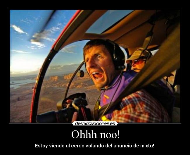 Ohhh noo! - Estoy viendo al cerdo volando del anuncio de mixta! 