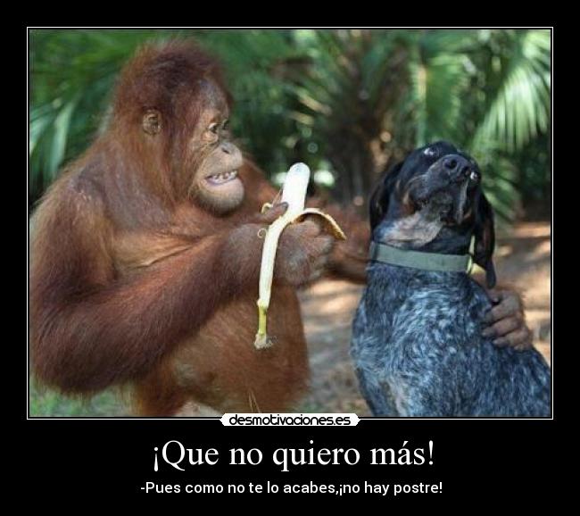 ¡Que no quiero más! -