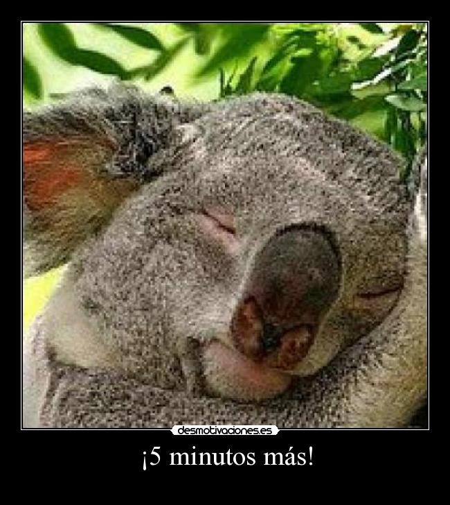 ¡5 minutos más! - 
