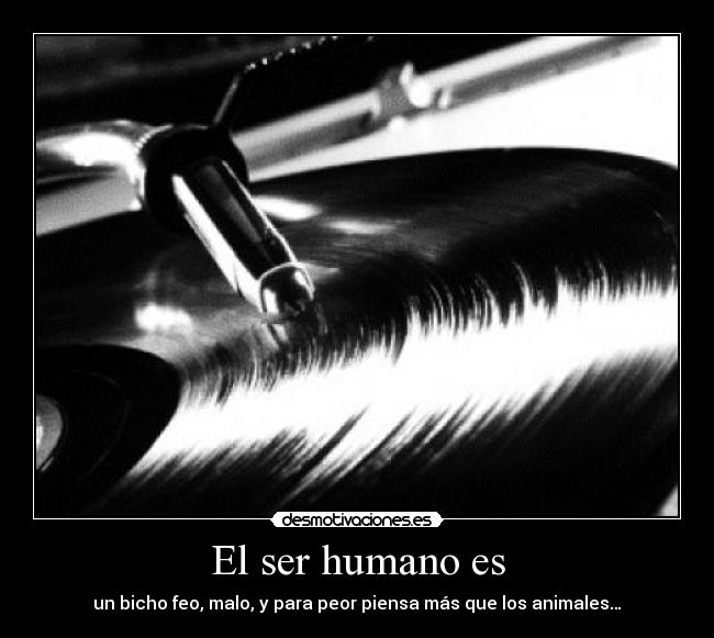 El ser humano es -