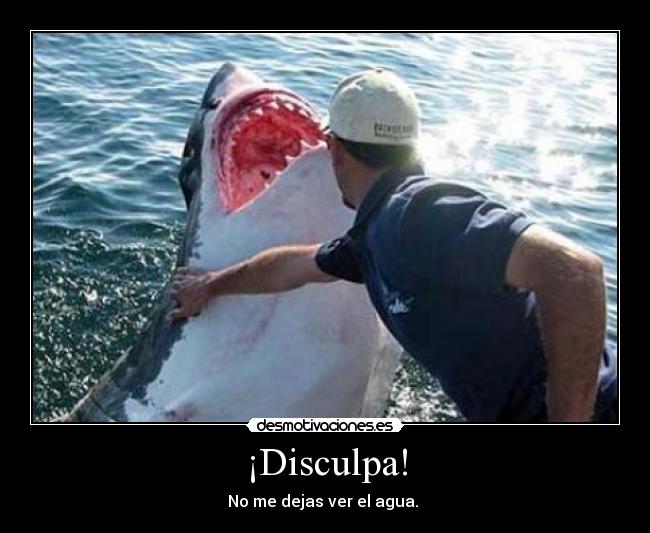 ¡Disculpa! -