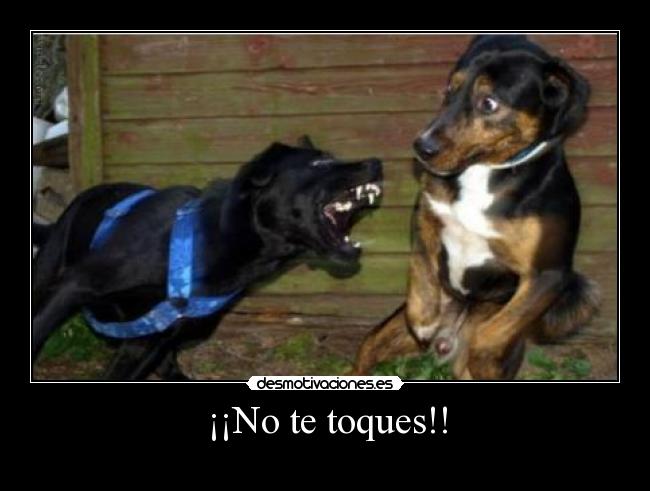 ¡¡No te toques!! - 