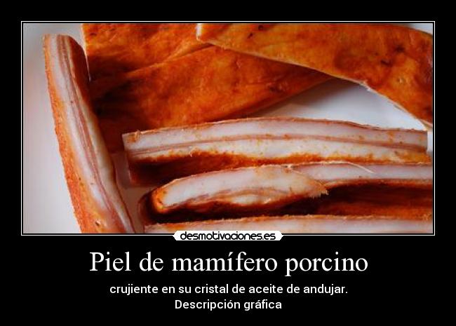 Piel de mamífero porcino - 