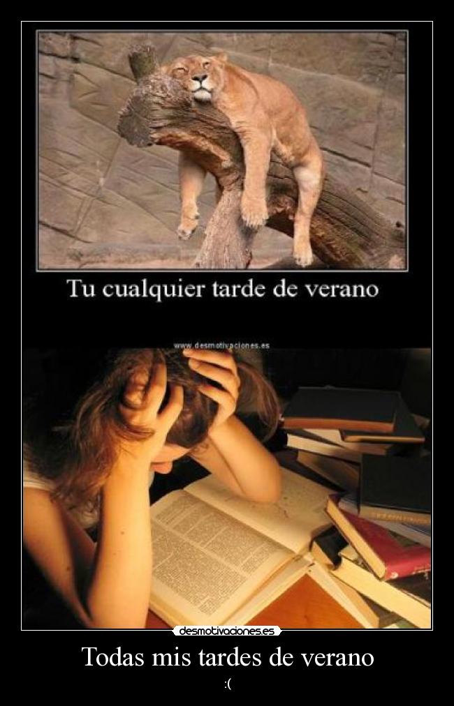 Todas mis tardes de verano - :(