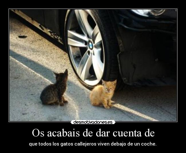 Os acabais de dar cuenta de -