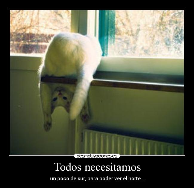 carteles sur norte desmotivaciones