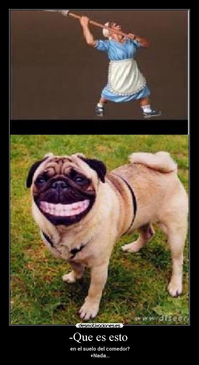 -Que es esto  - en el suelo del comedor?
+Nada...