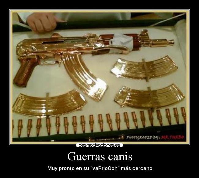Guerras canis -
