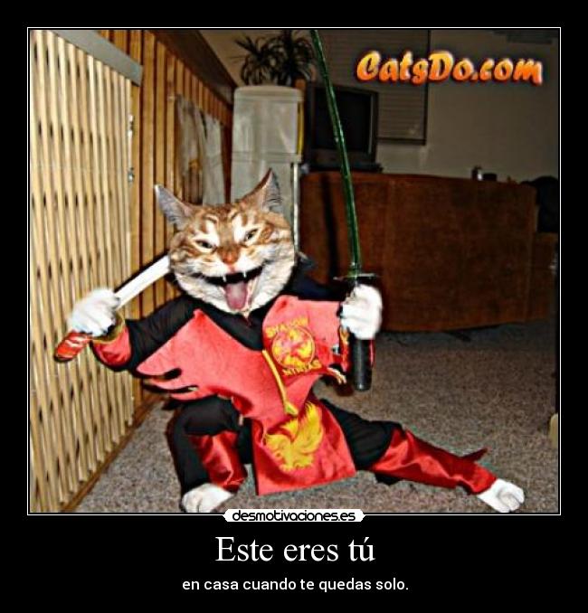 Este eres tú - en casa cuando te quedas solo.