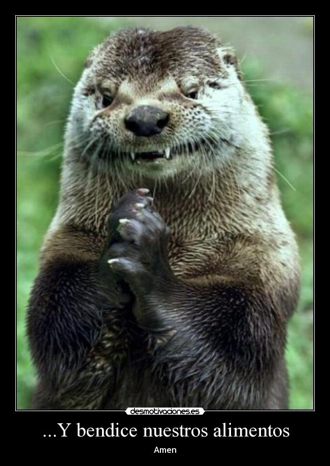 carteles topo orando alimentos principal desmotivaciones