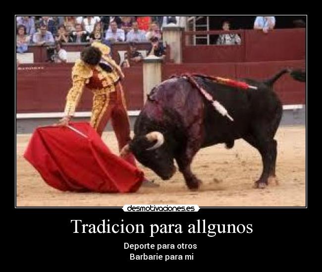 Tradicion para allgunos - Deporte para otros
Barbarie para mi