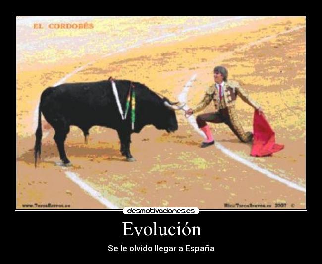 Evolución - 