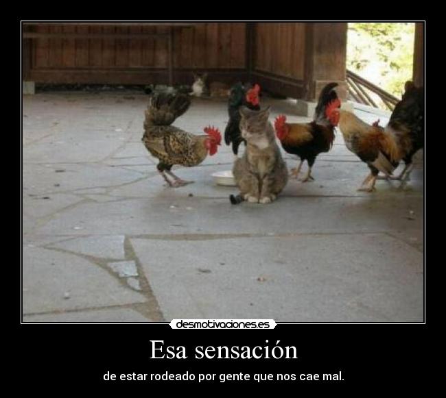 carteles desmotivaciones