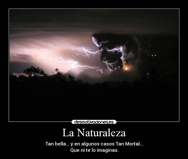 La Naturaleza - Tan bella... y en algunos casos Tan Mortal...
Que ni te lo imaginas.