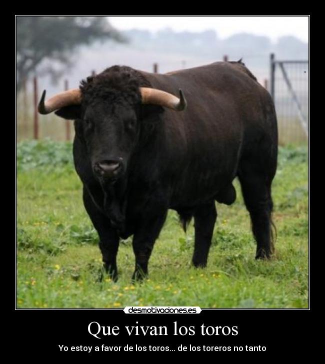 Que vivan los toros - 