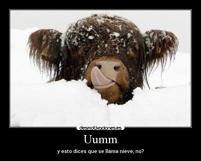 Uumm - y esto dices que se llama nieve, no?