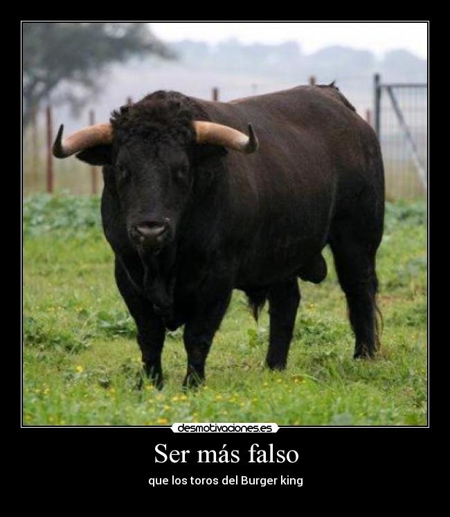 Ser más falso - 