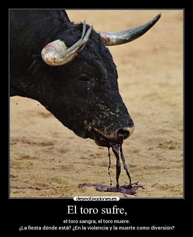 El toro sufre, -  el toro sangra, el toro muere. 
¿La fiesta dónde está? ¿En la violencia y la muerte como diversión?