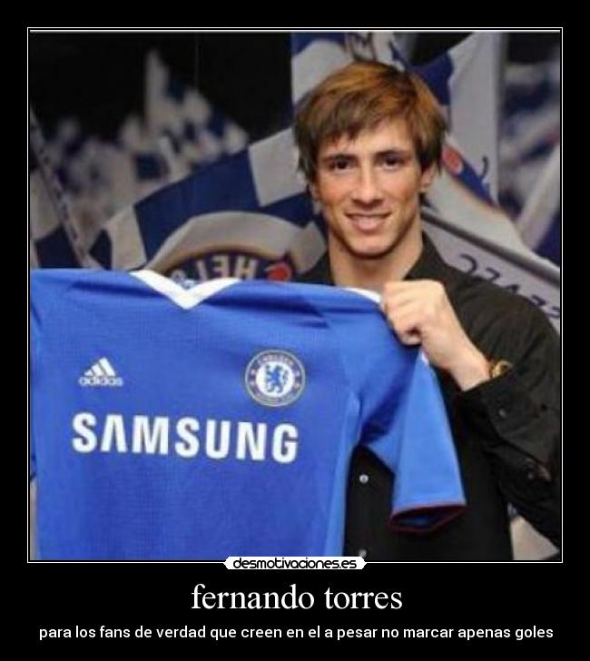 fernando torres -