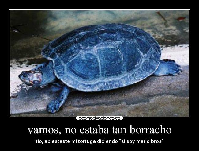 vamos, no estaba tan borracho -