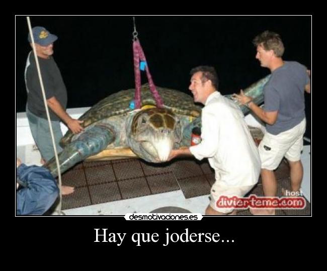 Hay que joderse... - 