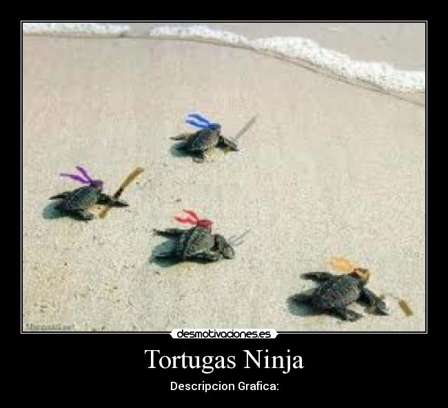 Tortugas Ninja - 