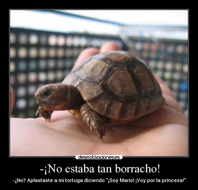 -¡No estaba tan borracho! - -¿No? Aplastaste a mi tortuga diciendo ¡Soy Mario! ¡Voy por la princesa!