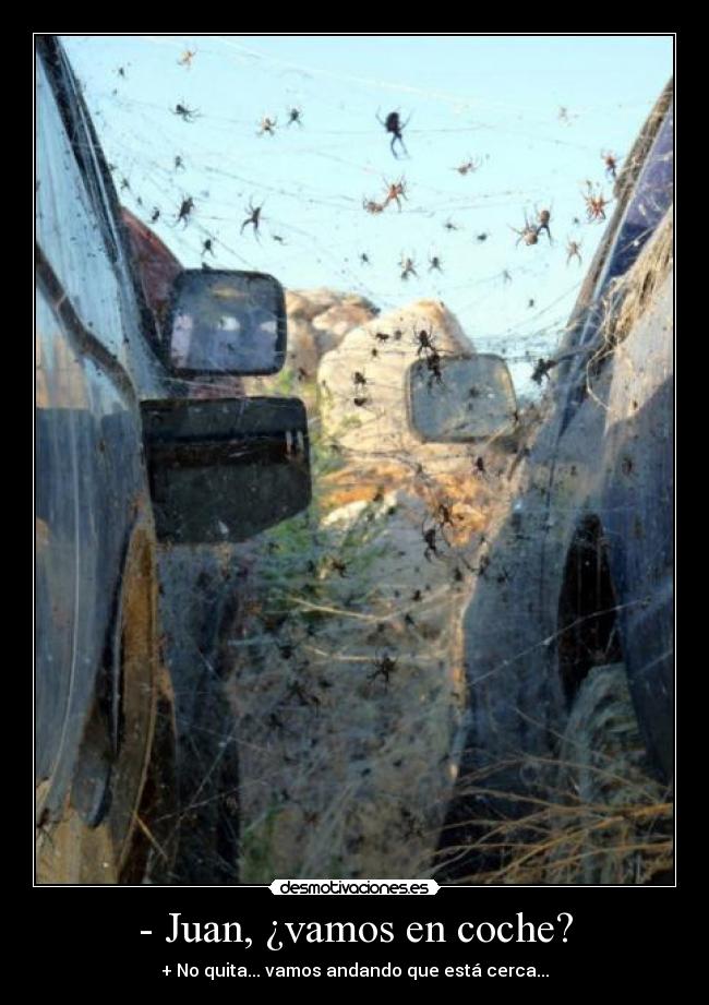 - Juan, ¿vamos en coche? - + No quita... vamos andando que está cerca...