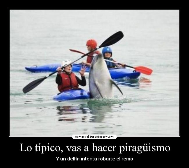 Lo típico, vas a hacer piragüismo - 