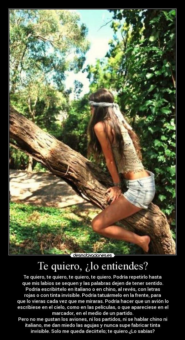 Te quiero, ¿lo entiendes? - 