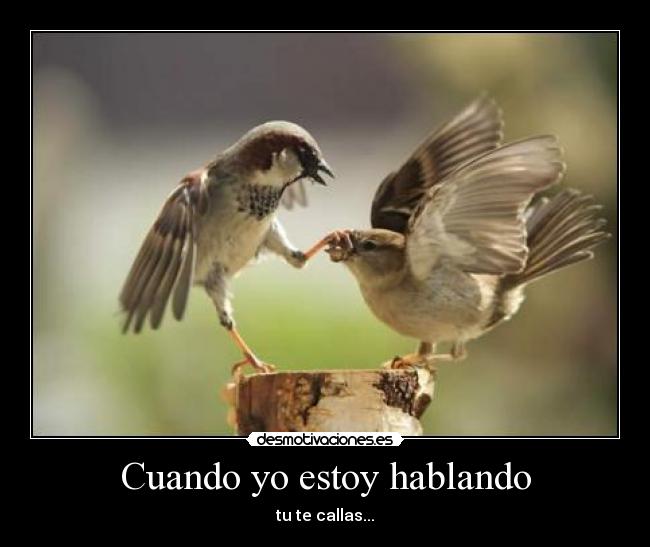 Cuando yo estoy hablando - tu te callas...