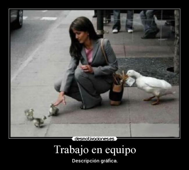 Trabajo en equipo -