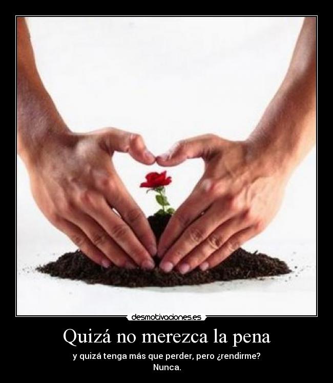 Quizá no merezca la pena - y quizá tenga más que perder, pero ¿rendirme?
Nunca.