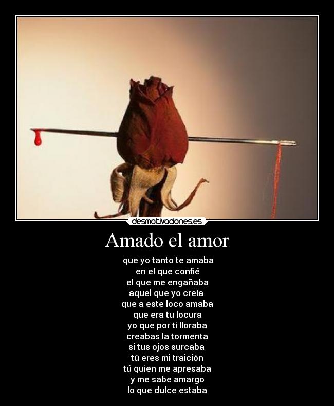 Amado el amor - 