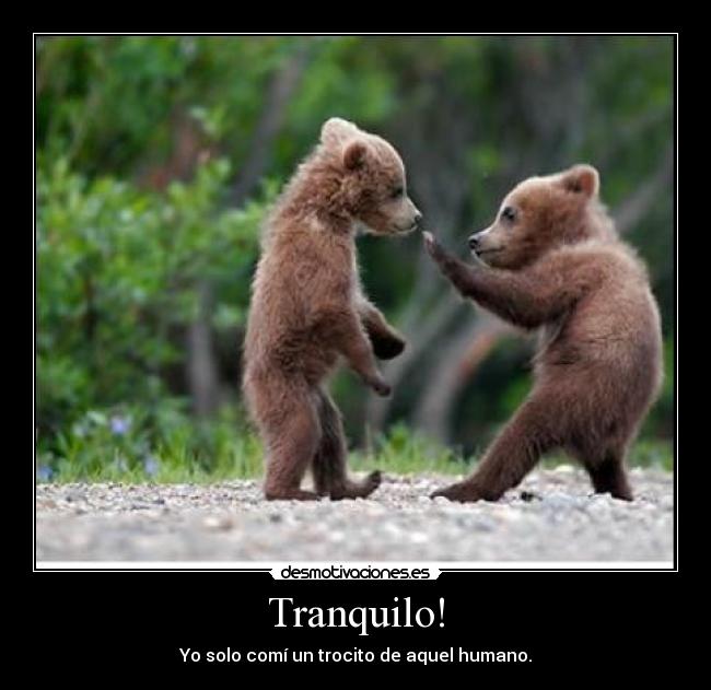 Tranquilo! - Yo solo comí un trocito de aquel humano.
