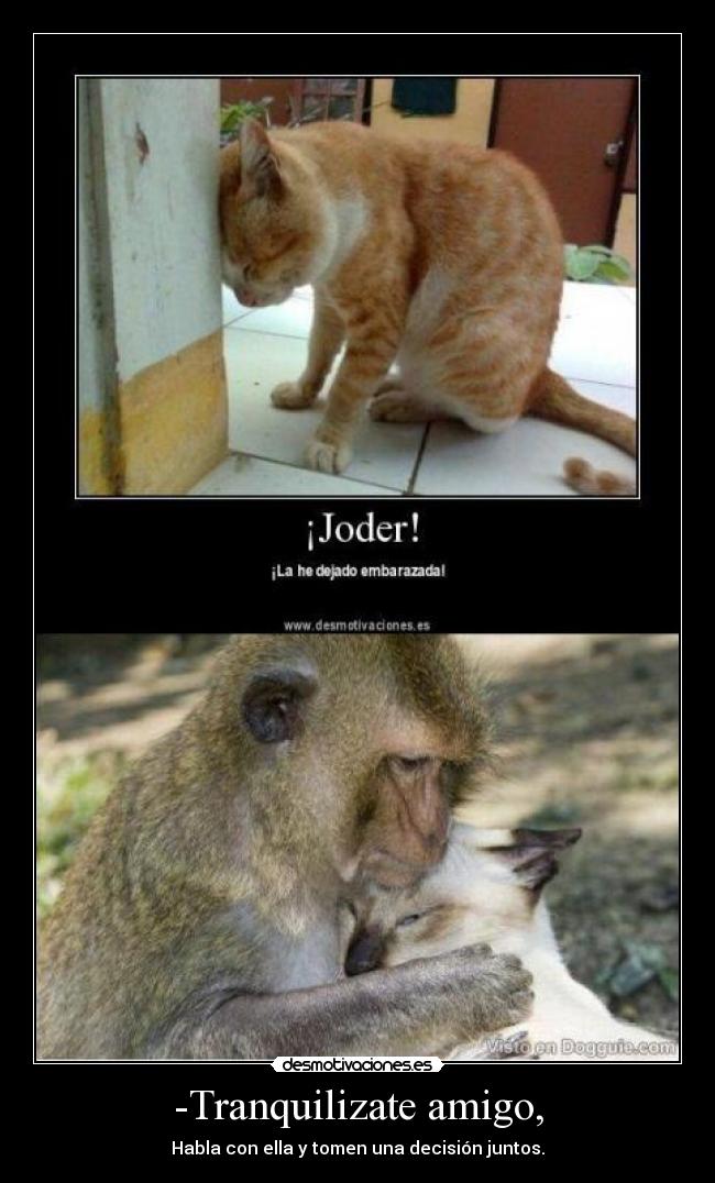 -Tranquilizate amigo, - Habla con ella y tomen una decisión juntos.