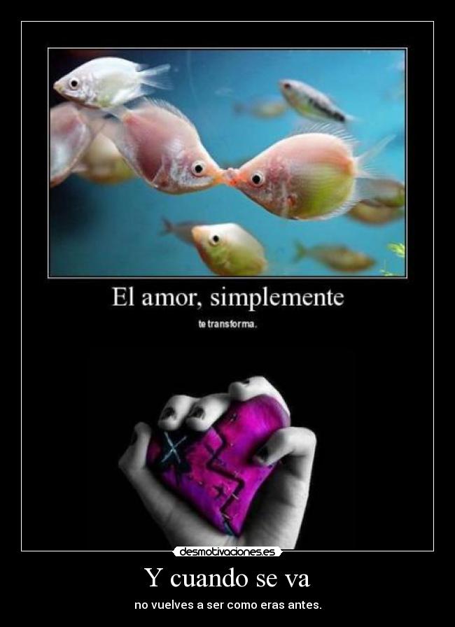 Y cuando se va - 